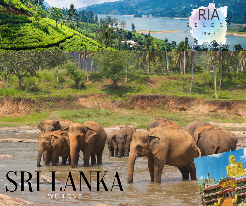 RIA Select Travel – Have something to look forward to